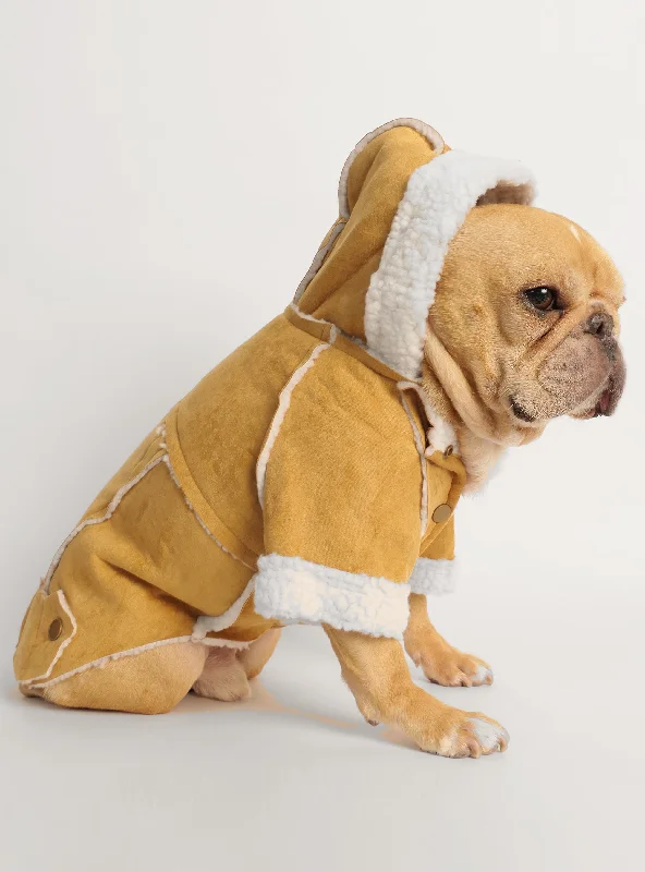 The Dorset Barn Coat Dog Hoodie