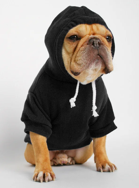 The Jasper Dog Hoodie